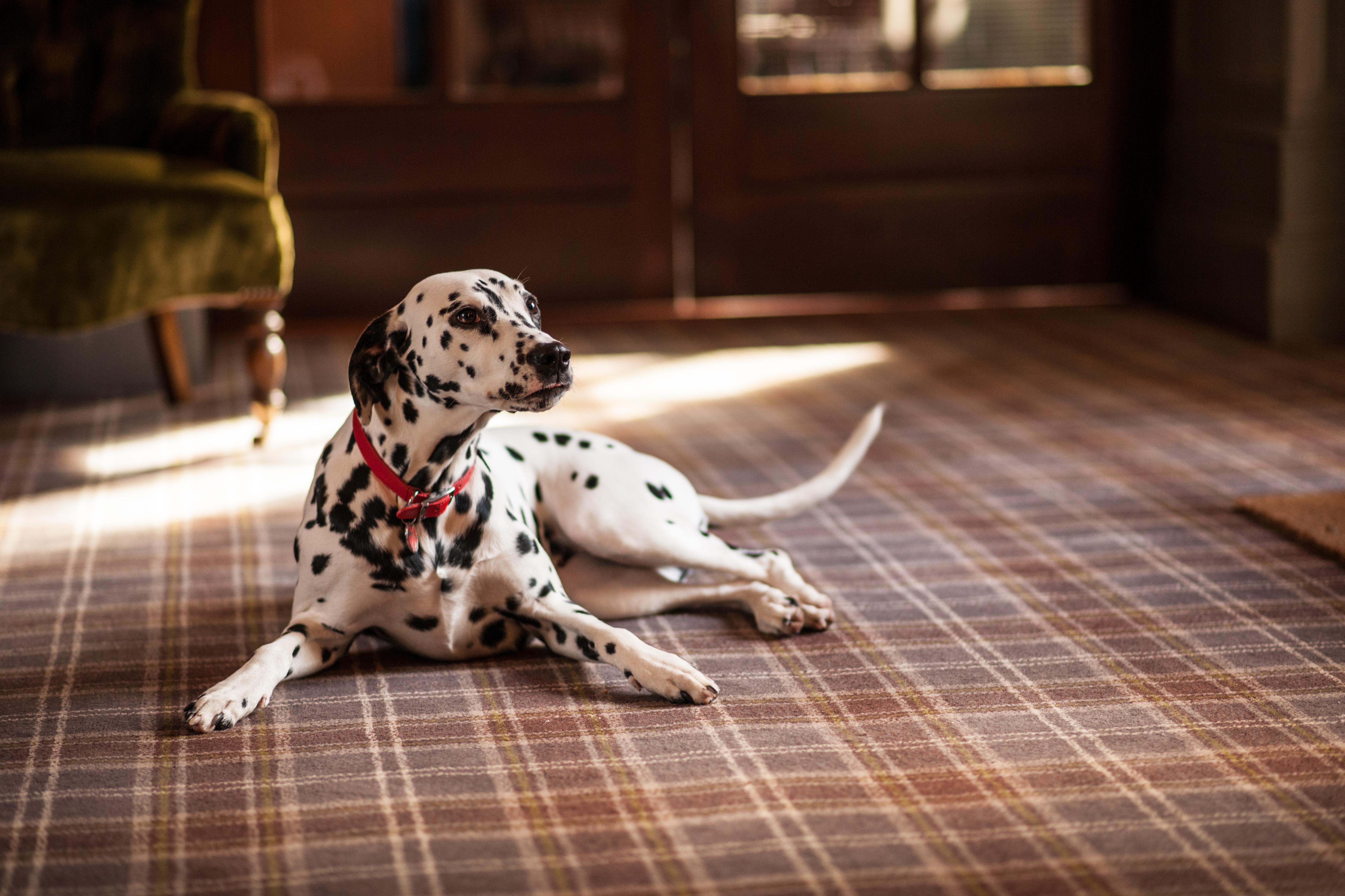 Balmoral Arms Hotel Ballater Bagian luar foto